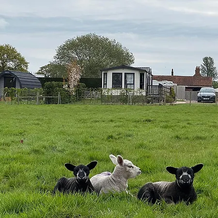 Lodge Field House Farm - Owl Or Honey Pod - Countryside Near York *