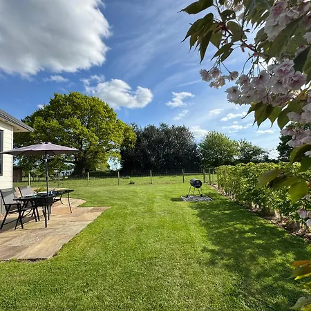 Field House Farm - Owl - Countryside Near York