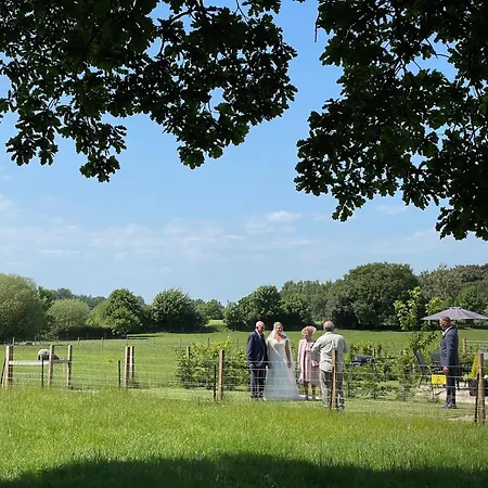 Field House Farm - Owl - Countryside Near York Skipwith